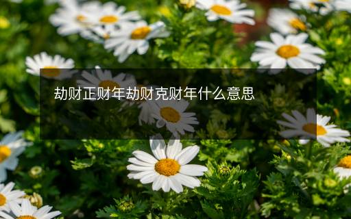 劫财正财年劫财克财年什么意思