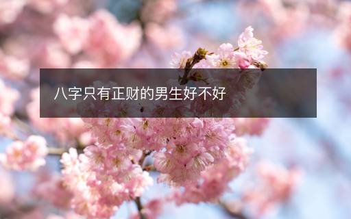 八字只有正财的男生好不好