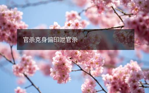 官杀克身偏印泄官杀