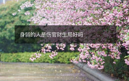 身弱的人是伤官财生局好吗