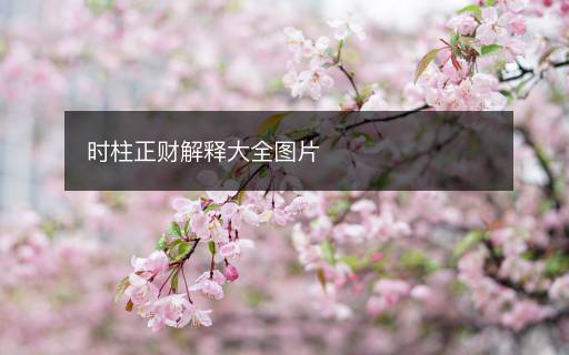 时柱正财解释大全图片