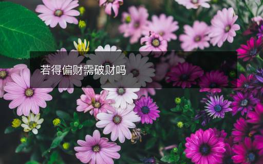 若得偏财需破财吗