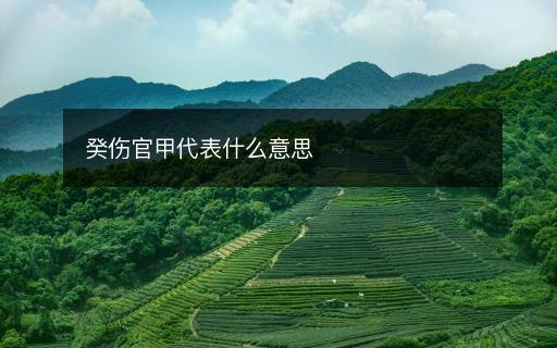 癸伤官甲代表什么意思