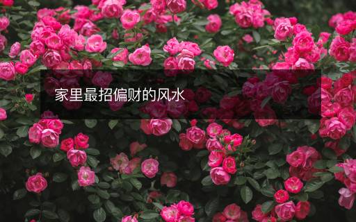 家里最招偏财的风水