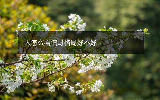 人怎么看偏财格局好不好 人怎么看偏财格局好不好