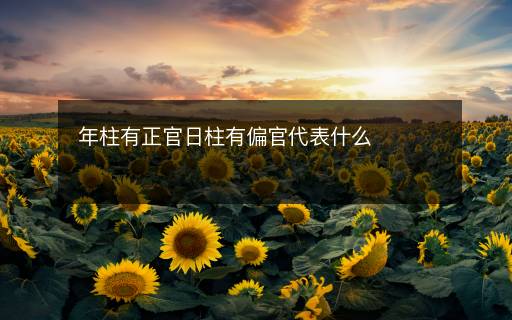 年柱有正官日柱有偏官代表什么