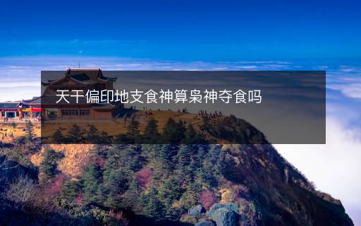 天干偏印地支食神算枭神夺食吗