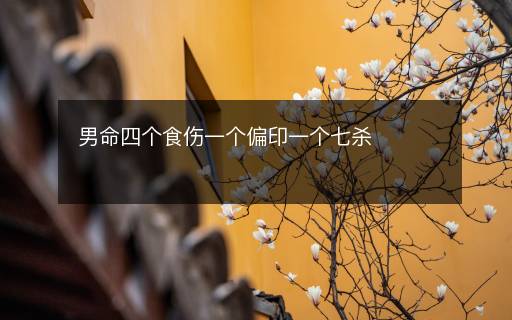 男命四个食伤一个偏印一个七杀