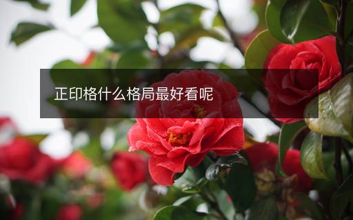 正印格什么格局最好看呢