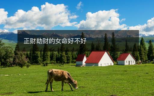 正财劫财的女命好不好