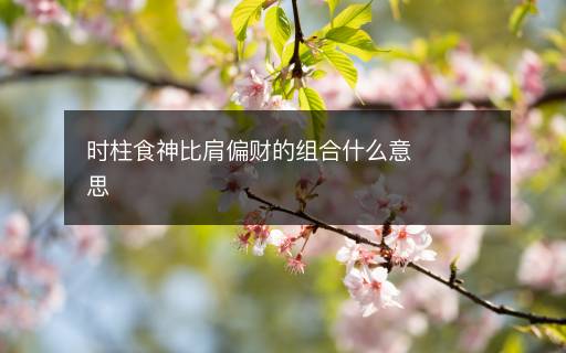 时柱食神比肩偏财的组合什么意思