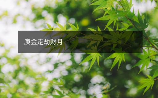 庚金走劫财月