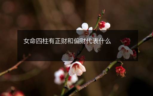 女命四柱有正财和偏财代表什么