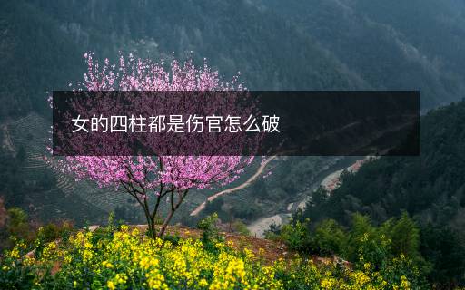 女的四柱都是伤官怎么破