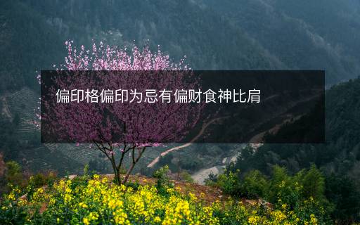 偏印格偏印为忌有偏财食神比肩