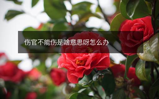 伤官不能伤是啥意思呀怎么办