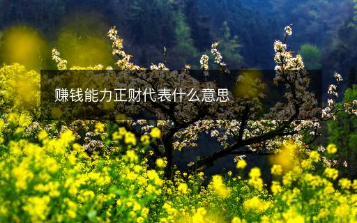 赚钱能力正财代表什么意思
