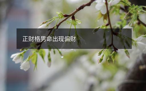 正财格男命出现偏财