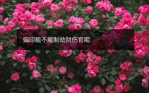 偏印能不能制劫财伤官呢