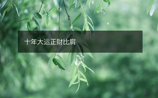 十年大运正财比肩