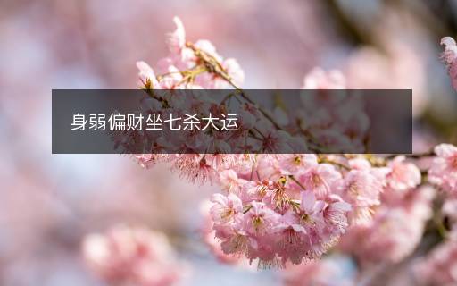 身弱偏财坐七杀大运