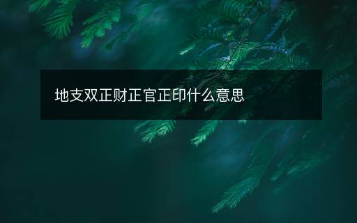 地支双正财正官正印什么意思