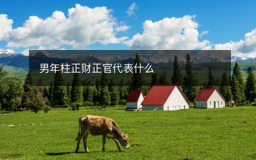 男年柱正财正官代表什么