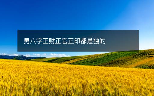 男八字正财正官正印都是独的 男八字正财正官正印都是独的