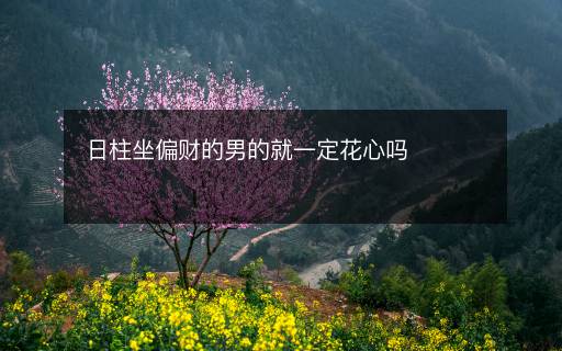 日柱坐偏财的男的就一定花心吗