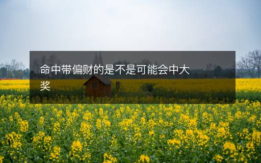 命中带偏财的是不是可能会中大奖