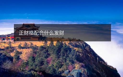 正财格配合什么发财