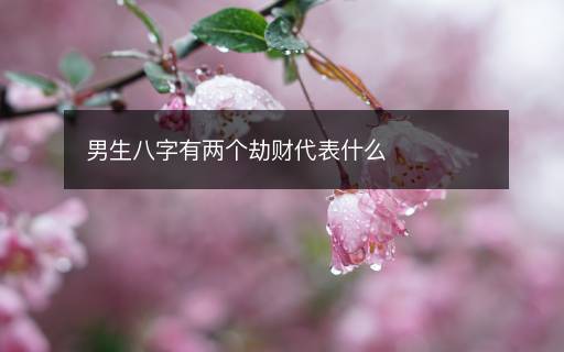 男生八字有两个劫财代表什么