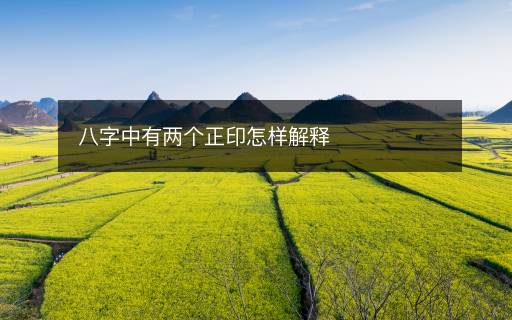 八字中有两个正印怎样解释