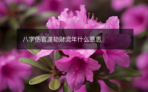八字伤官逢劫财流年什么意思