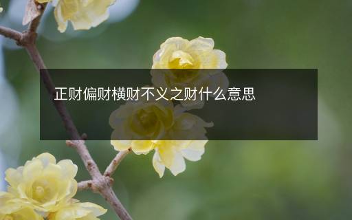 正财偏财横财不义之财什么意思