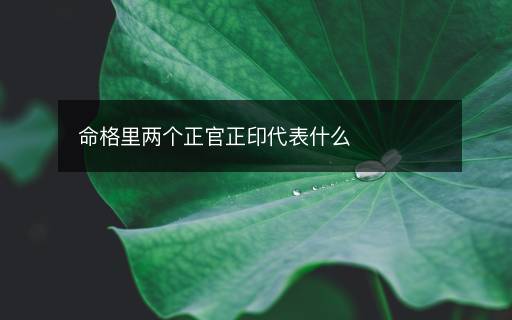 命格里两个正官正印代表什么