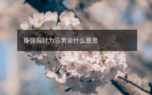 身强偏财为忌男命什么意思