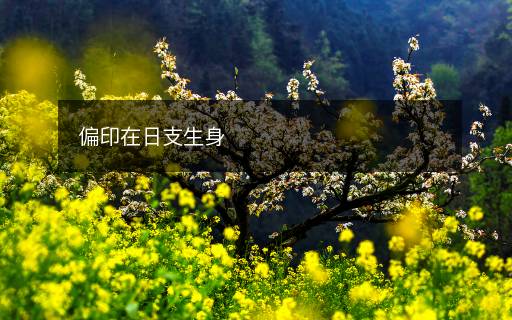 偏印在日支生身