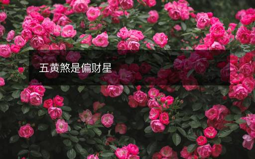五黄煞是偏财星