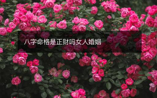八字命格是正财吗女人婚姻