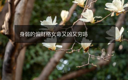 身弱的偏财格女命又凶又穷吗