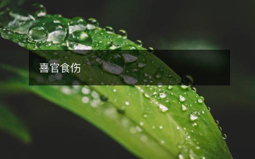 喜官食伤