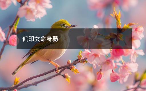 偏印女命身弱