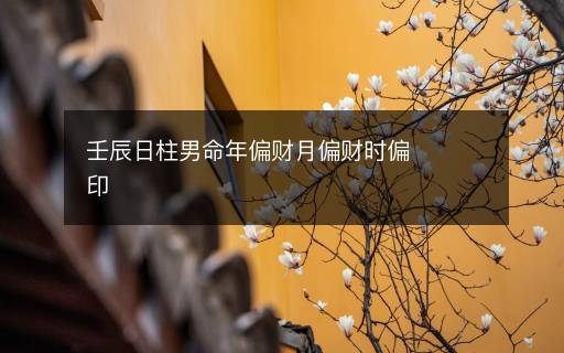 壬辰日柱男命年偏财月偏财时偏印