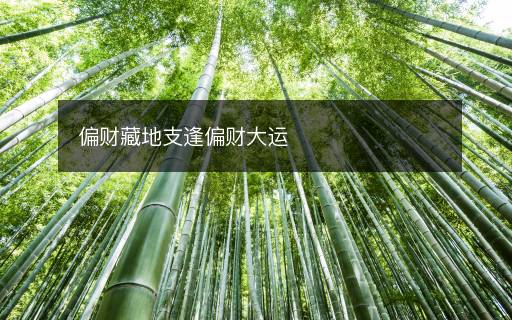 偏财藏地支逢偏财大运 偏财藏地支逢偏财大运