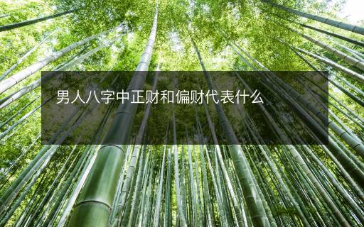男人八字中正财和偏财代表什么