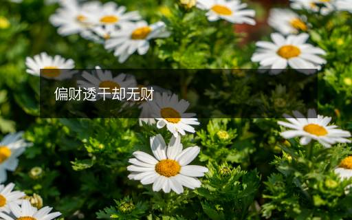 偏财透干却无财