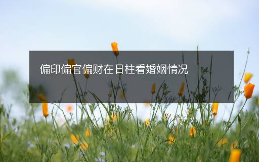 偏印偏官偏财在日柱看婚姻情况