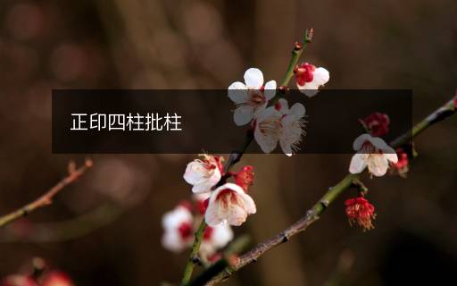 正印四柱批柱