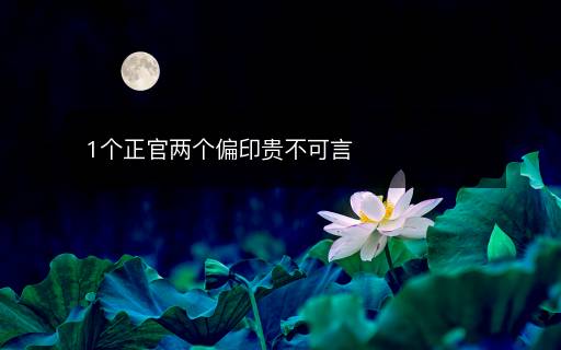 1个正官两个偏印贵不可言 1个正官两个偏印贵不可言